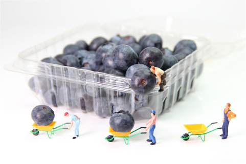 配属までの流れ